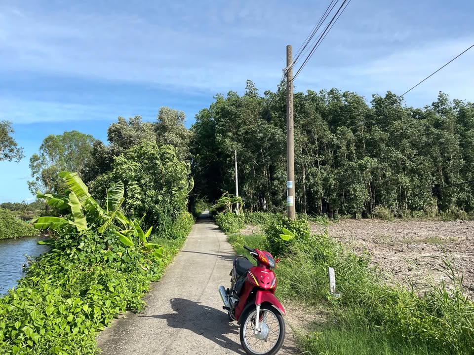 Đất nền An Xuyên Cà Mau 302.1m² giá 400 triệu - Đầu tư sinh lời ngay!