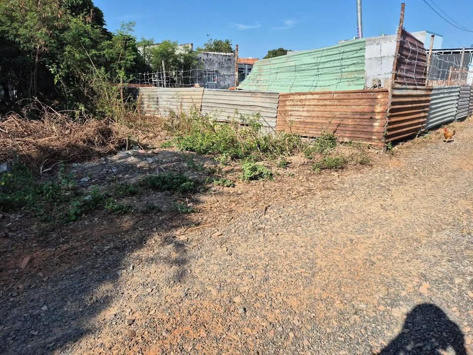 Đất thổ cư 200m² đường Phan Trọng Tuệ - Giá chỉ 2 tỷ, vị trí tiềm năng!