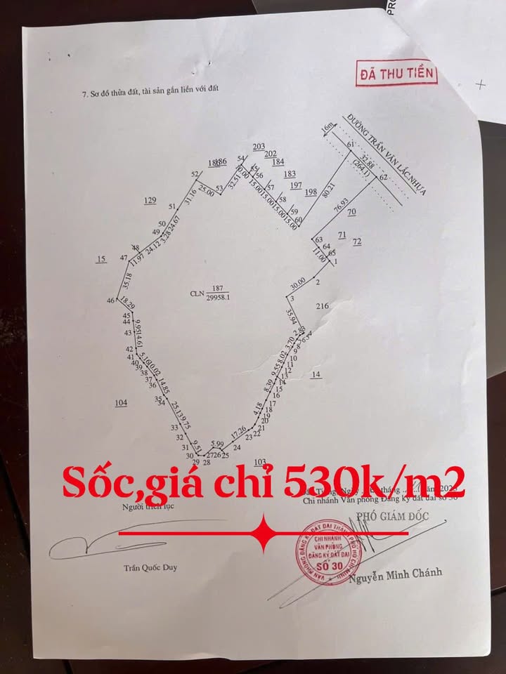 Đất nền mặt tiền đường nhựa Dầu Tiếng, Bình Dương 30.000m² giá chỉ 16 tỷ - Cơ hội đầu tư tuyệt vời!