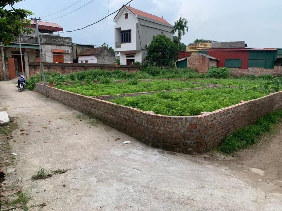 Đất nền xã Ngũ Thái, Thuận Thành 142m² giá 1.6 tỷ - Cơ hội đầu tư tuyệt vời!