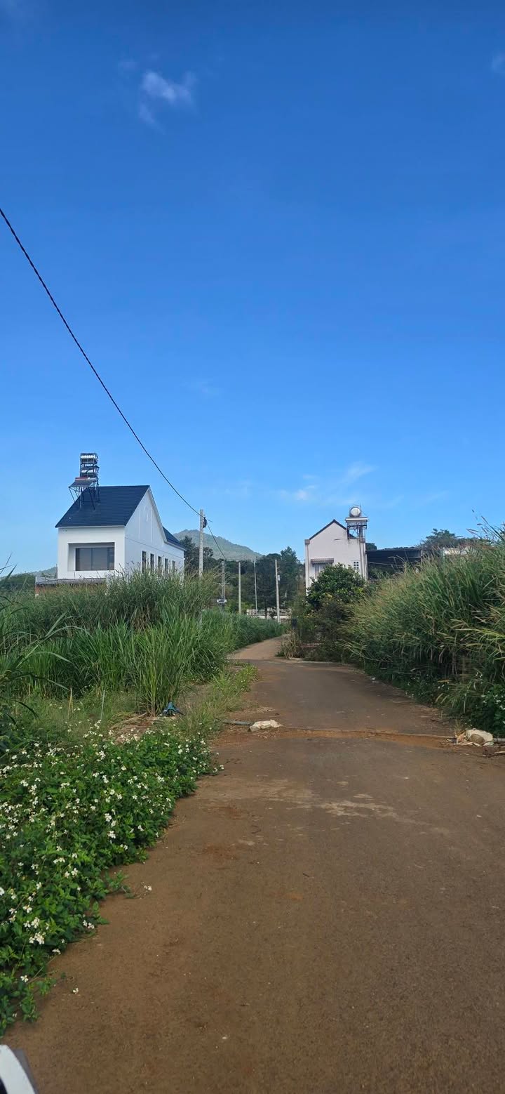 Đất nền Liên Hiệp 115m² giá 1.19 tỷ - Cơ hội đầu tư sinh lời