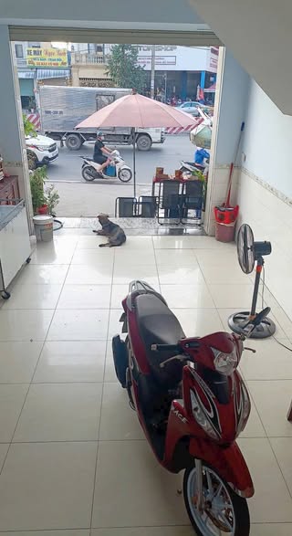 Nhà mặt tiền An Phú 44m² giá 2.2 tỷ - Cơ hội kinh doanh hiếm có!