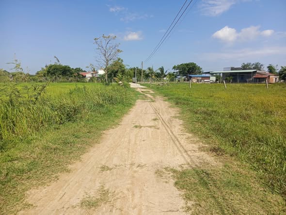 Bán lô đất cây lâu năm Thôn Bình An, xã Hàm Liêm, 1371m² - Đầu tư sinh lời hấp dẫn!