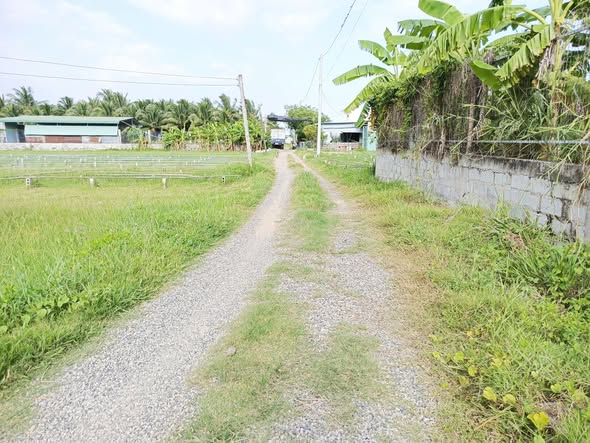 Đất nông nghiệp 2761m² Thôn Bình An, Hàm Chính - Giá tốt chỉ 1.656 tỷ!