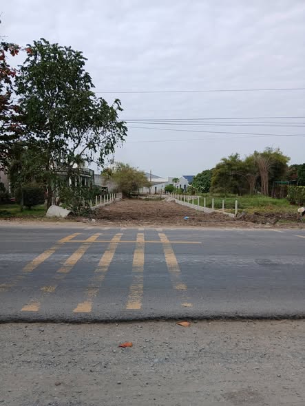 Đất Nền Mặt Tiền N2 Đức Hòa 240m² - Đầu Tư Sinh Lời Ngay!