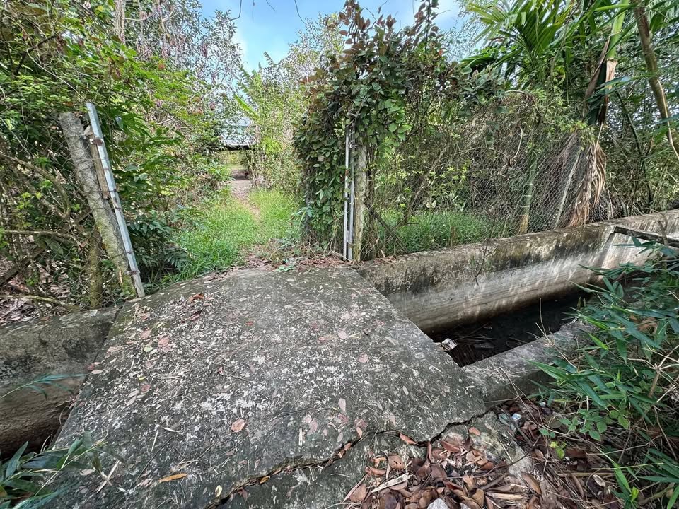 Đất vườn Long Phú, Tân Châu 1440m² giá 1.3 tỷ - Cơ hội đầu tư sinh lời!