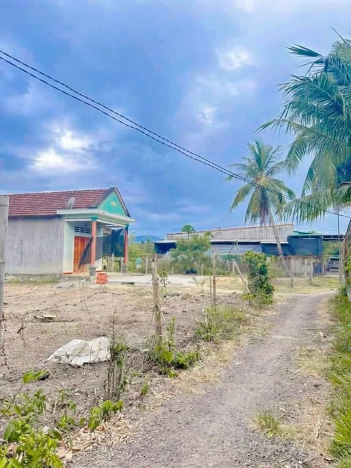 Đất thổ cư 170m² Mỹ Phong, Phù Mỹ giá chỉ 1xx triệu - Cơ hội đầu tư tuyệt vời!