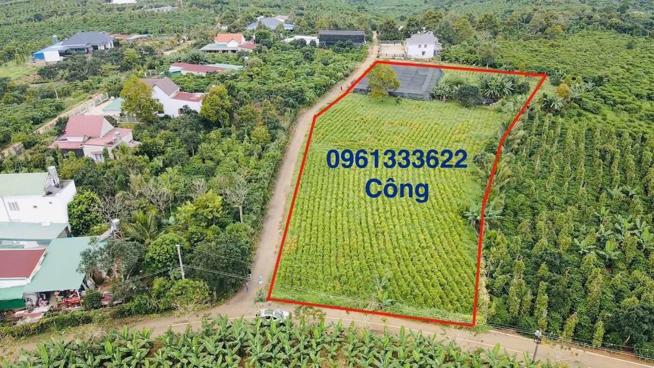 Đất nền Bảo Lâm 150m² - Chính chủ bán lô liền kề giá đầu tư!