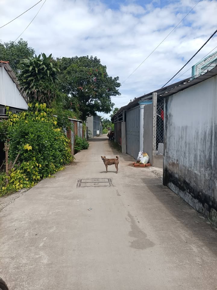 Đất nền Trà Vinh 130m² giá 650 triệu - Đầu tư sinh lời ngay!