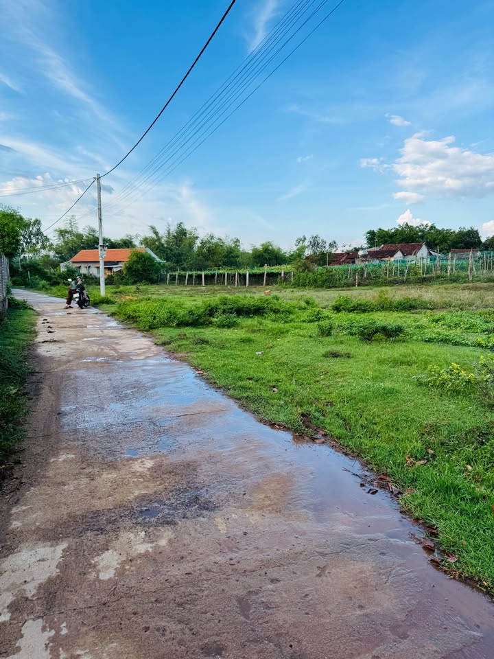 Đất nền khu dân cư Vân Sơn, Nhơn Hậu, An Nhơn, 185m² - Giá chỉ 7xx triệu!