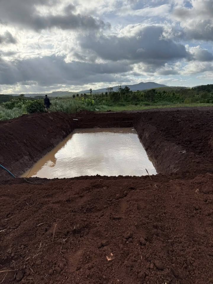 Farm đất vàng 20.000m² tại Ea Ral, Ea H'leo chỉ 719 triệu - Chính chủ bán nhanh!