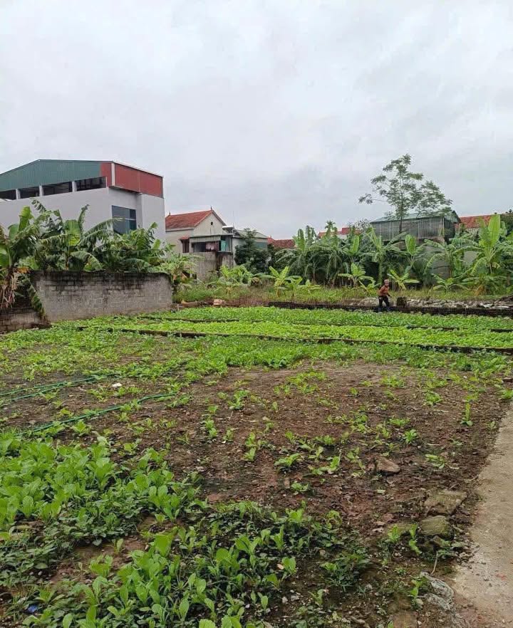 Đất nền Vạn Phúc Thanh Trì 47m² giá 2 tỷ - Cơ hội đầu tư sinh lời!