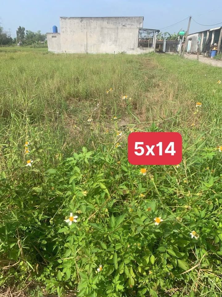 Đất thổ cư 70m² xã Mỹ Hạnh Nam giá chỉ 720 triệu - Sổ riêng, mặt tiền đường bê tông 5m