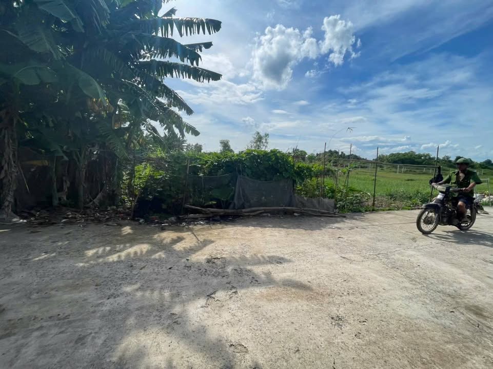 Đất nền thổ cư 100m² đường Trung Đông 12, Hóc Môn giá 2.9 tỷ - Xây dựng tự do!