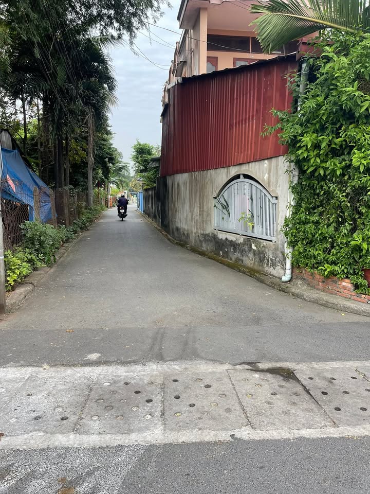 Nhà cấp 4 Chánh Mỹ, Thủ Dầu Một 93m² giá 1.65 tỷ - Cơ hội đầu tư tuyệt vời!