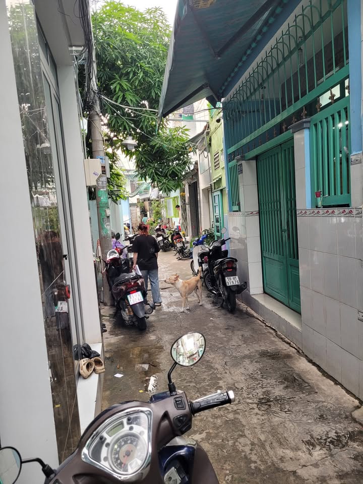 Nhà bán đường Lưu Hữu Phước, quận 8, diện tích 15m² - Chính chủ, giá chỉ 1.2 tỷ!