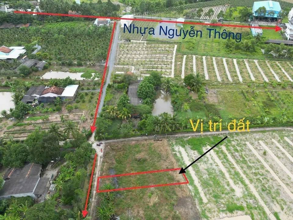 Đất nền thổ cư 150m² tại ấp 6, Hiệp Thạnh, Châu Thành, giá 380 triệu - Cơ hội đầu tư tuyệt vời!