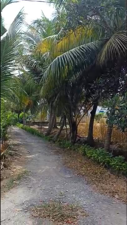 Đất nền Hựu Thạnh - Đức Hòa - Long An 530m² giá 1.3 tỷ - Pháp lý rõ ràng, đầu tư sinh lời!