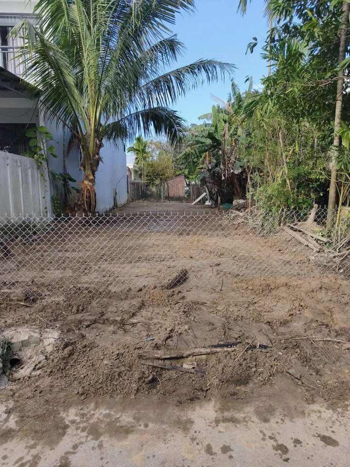 Đất thổ cư Thôn 5 Cẩm Thanh 157m² giá 4 tỷ - Vị trí yên tĩnh, thoáng mát!