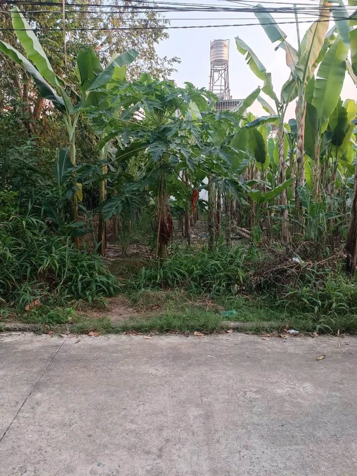 Đất thổ cư Tân An Thủ Dầu Một 97m² giá 1.45 tỷ - Đường ô tô vào tận nơi!