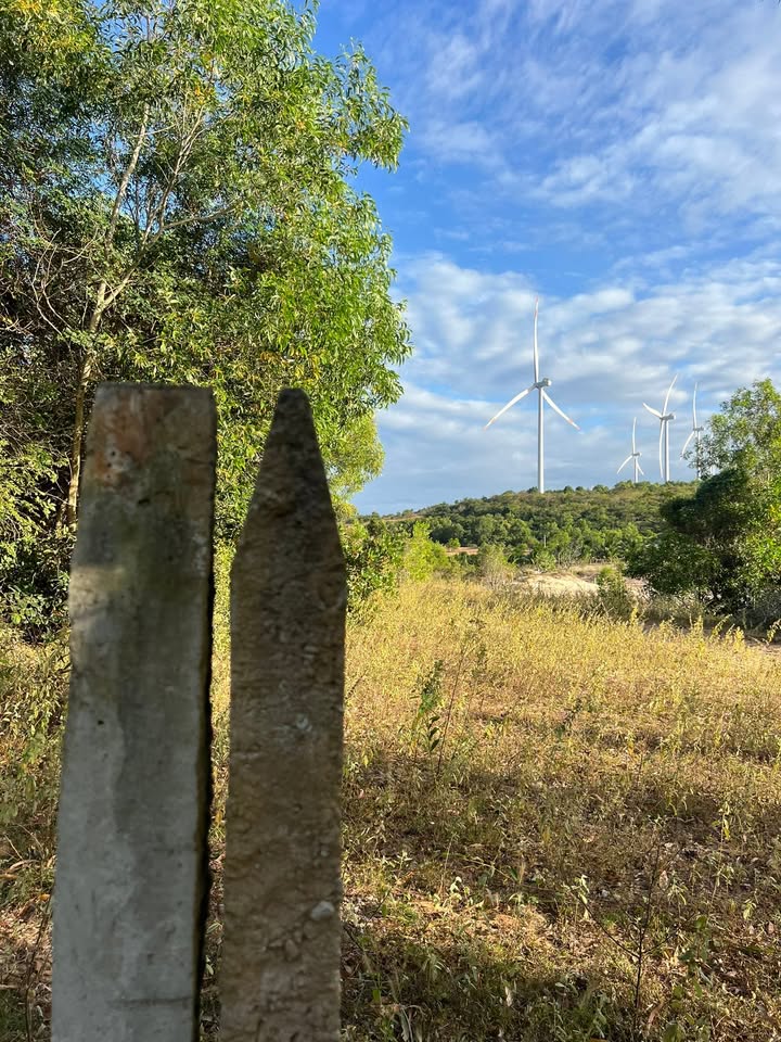 Đất nền Phan Thiết 34,000m² chỉ 1.005 tỷ - Sổ đỏ chính chủ, giá tốt hiếm có!