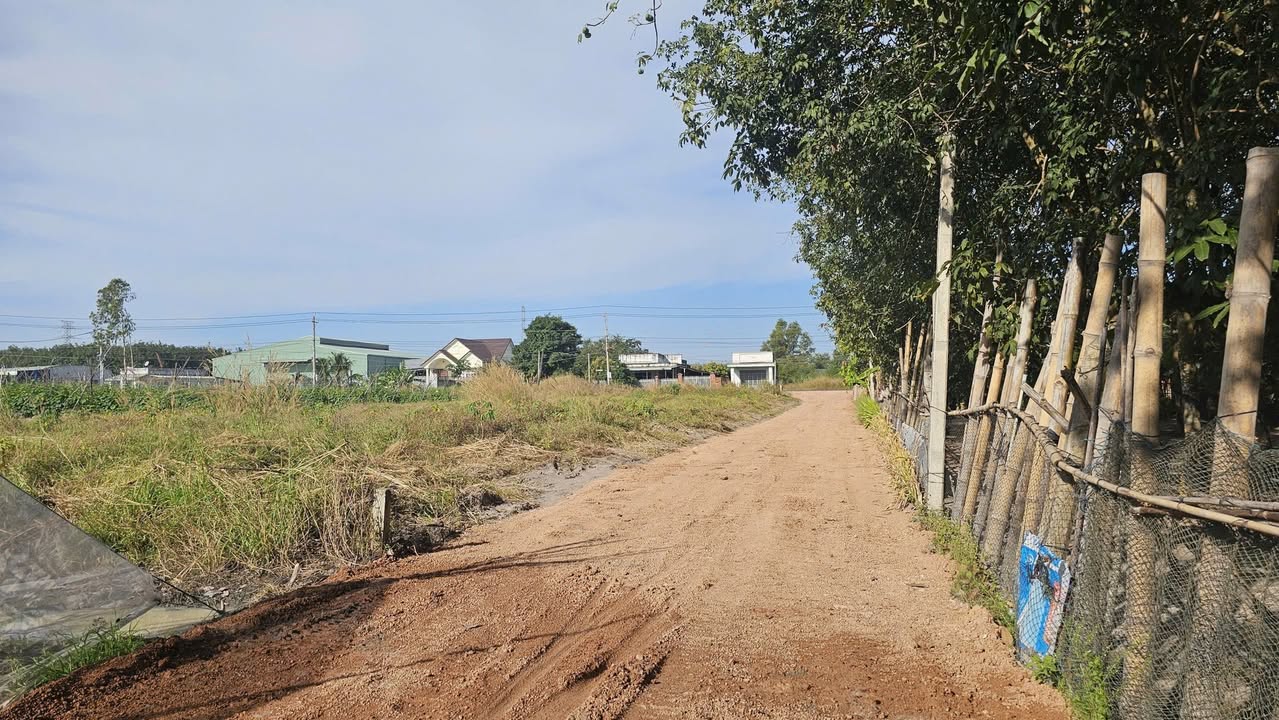 Đất nền Tân Phú, Tân Châu 1034m² - Giá chỉ 286 triệu, cơ hội đầu tư tuyệt vời!