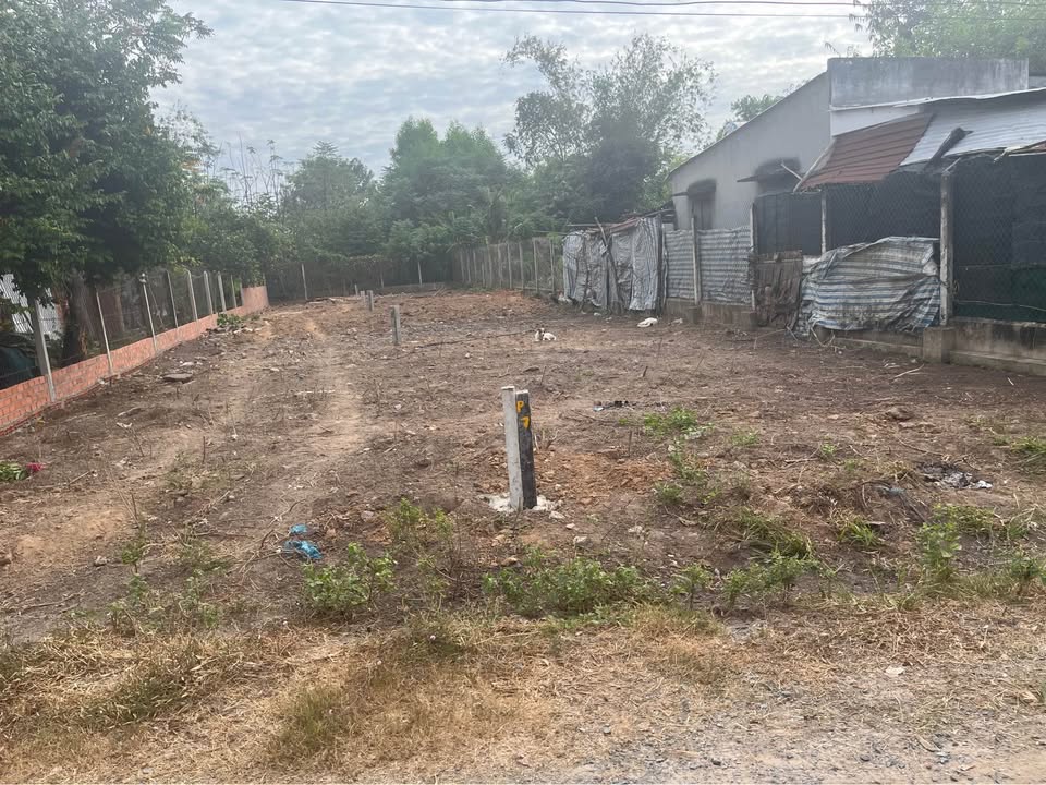 Đất thổ cư 225m² ấp Chánh Hiệp, Gò Dầu giá 450 triệu - Đầu tư sinh lời ngay!