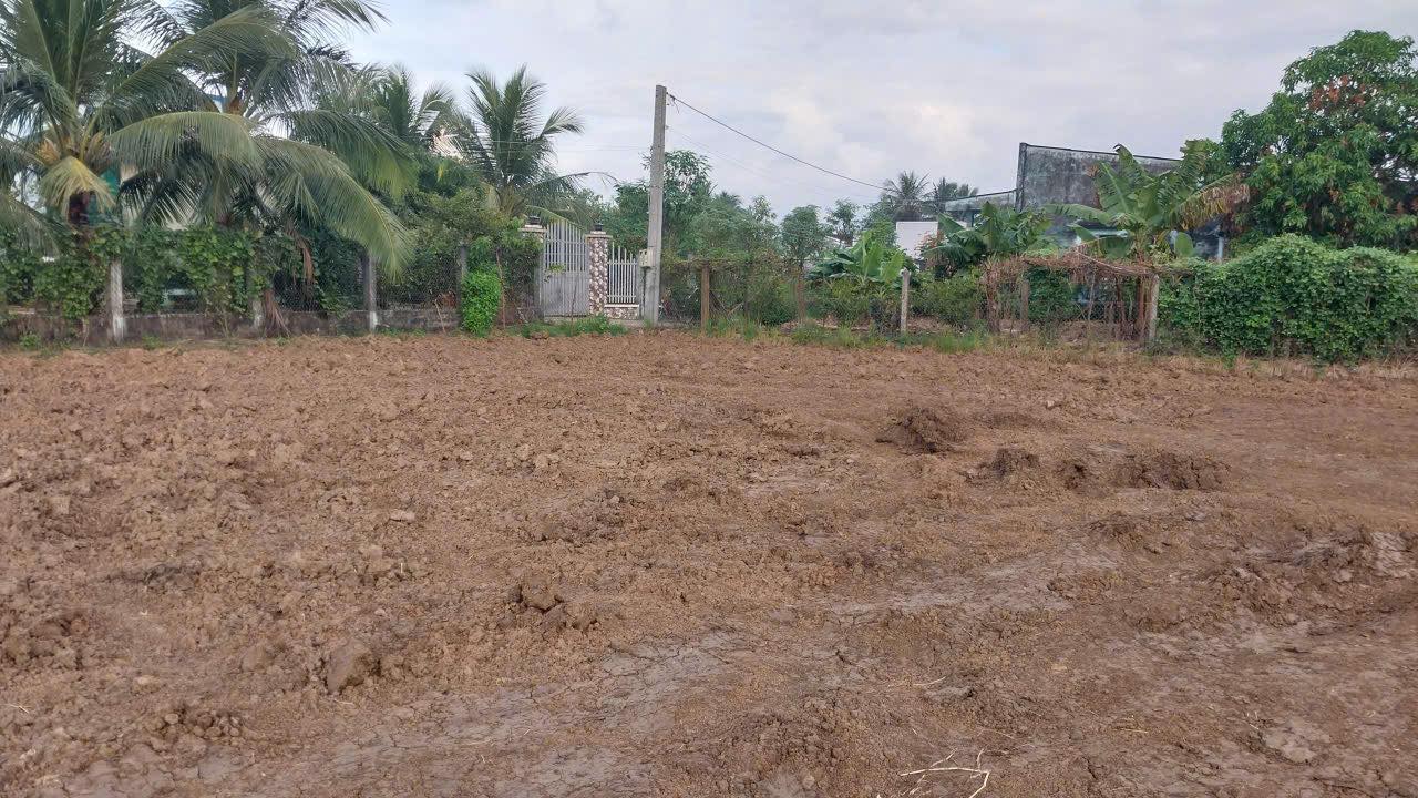 Đất nền Tân Phước Gò Công Đông 252m² giá 280 triệu - Đầu tư sinh lời ngay!