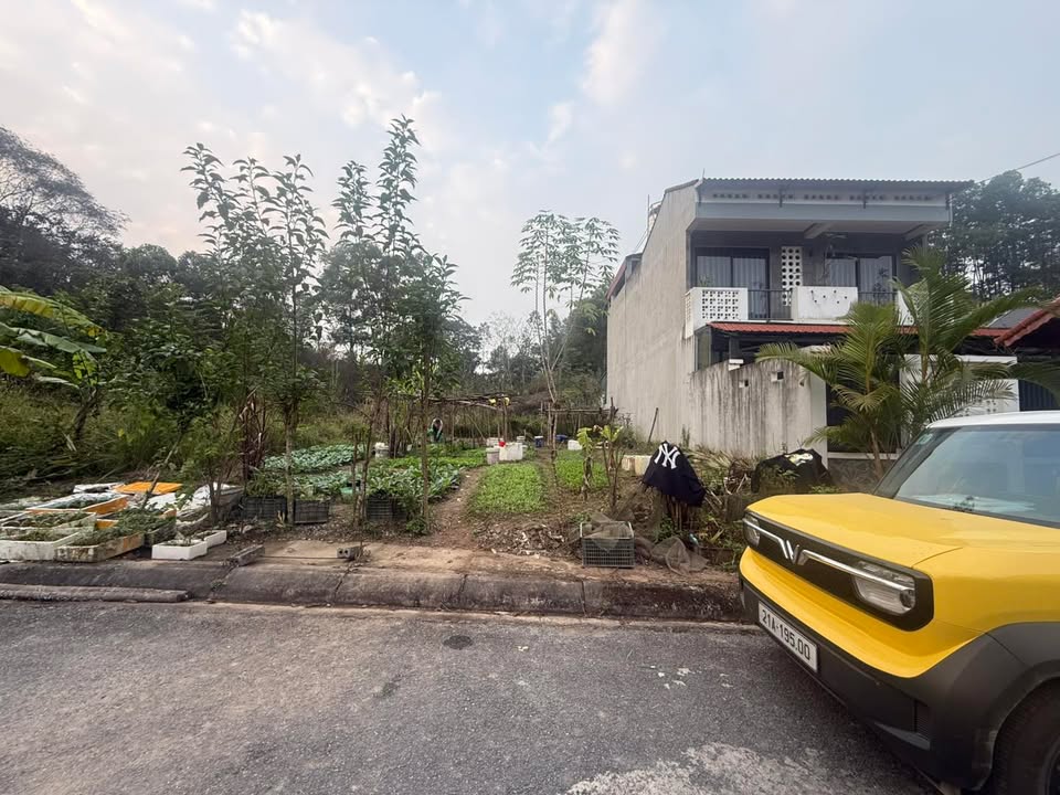 Bán 3 lô đất liền kề ngõ 104 Nguyễn Khắc Nhu 100m² giá 1.5 tỷ - Cơ hội đầu tư hấp dẫn!