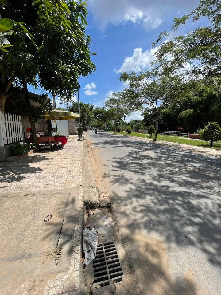 Đất nền 96m² tại Lộ Hòa Đông, Cao Lãnh - Cơ hội đầu tư hấp dẫn!