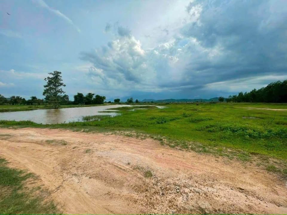 Đất cây trồng 1000m² xã Thuận Hòa, Bình Thuận - Giá chỉ 130 triệu!