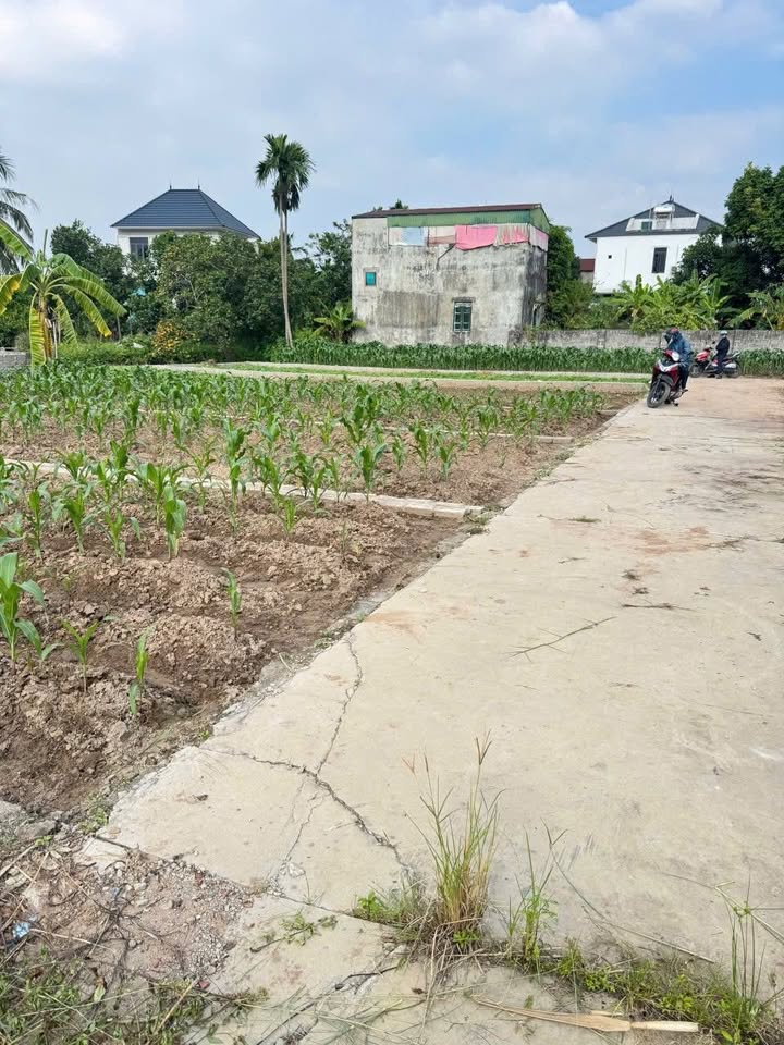 Đất nền Chương Lộc, Thường Tín 64m² giá 3.5 tỷ - Ô tô đỗ cửa, gần chợ và trường học!