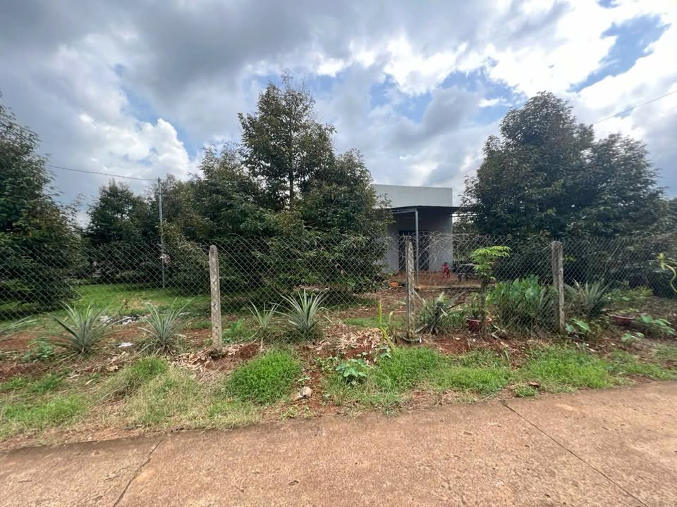 Đất thổ cư Xuân Bảo, Cẩm Mỹ 1997m² giá 2.8 tỷ - Đầu tư lý tưởng cho nhà vườn!