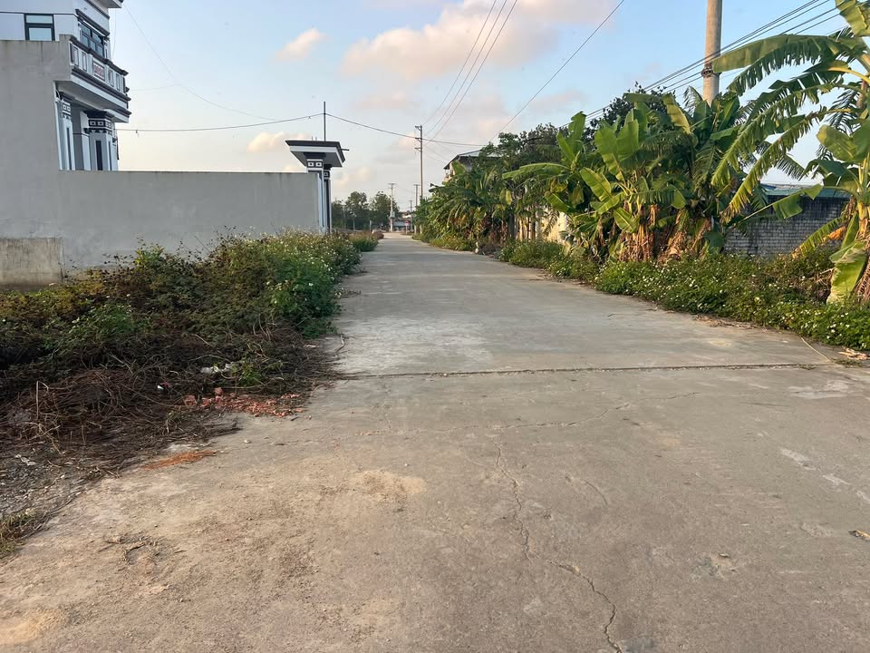 Đất nền xã Hậu Lộc 175m² - Đầu tư sinh lời hấp dẫn!