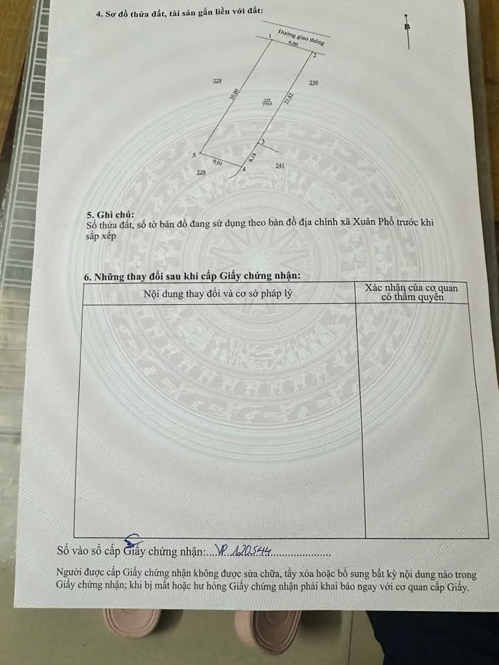 Đất ở Xuân Phổ, Nghi Xuân 270m² giá 3 tỷ - Tiềm năng kinh doanh lớn!