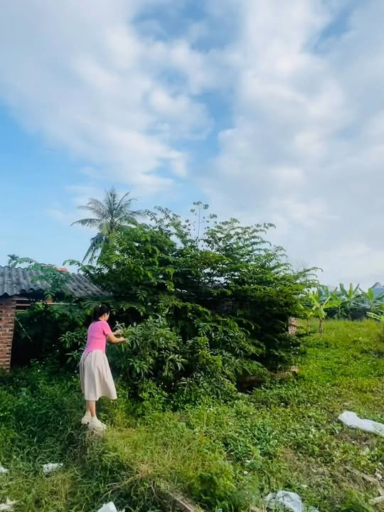 Nhà 3 tầng độc lập TDP Tự Lập, An Hải 50m² giá 2.099 tỷ - Sổ đỏ chính chủ!