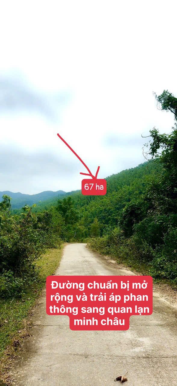 Đất rừng 67ha tại Bản Sen, Vân Đồn - Giá chỉ 2 tỷ VND - Đầu tư sinh lời!