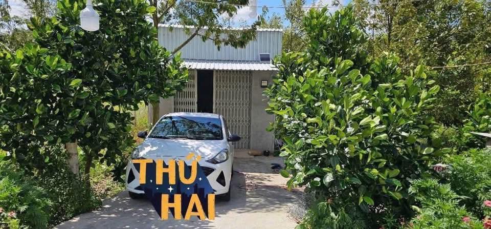 Đất nền xã Tân Lược, Bình Tân, Vĩnh Long 170m² - Nhà cấp 4 và sầu riêng tặng kèm!