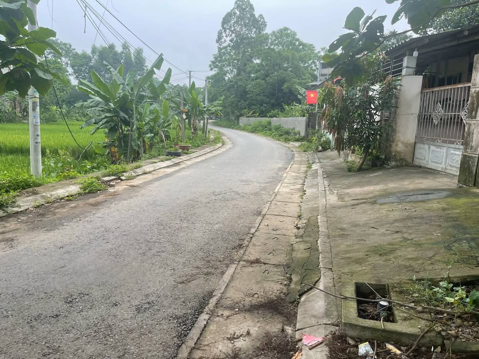 Đất thổ cư tổ 15 Tân Hà 70m² giá 2 tỷ - Tiềm năng phát triển mạnh mẽ!