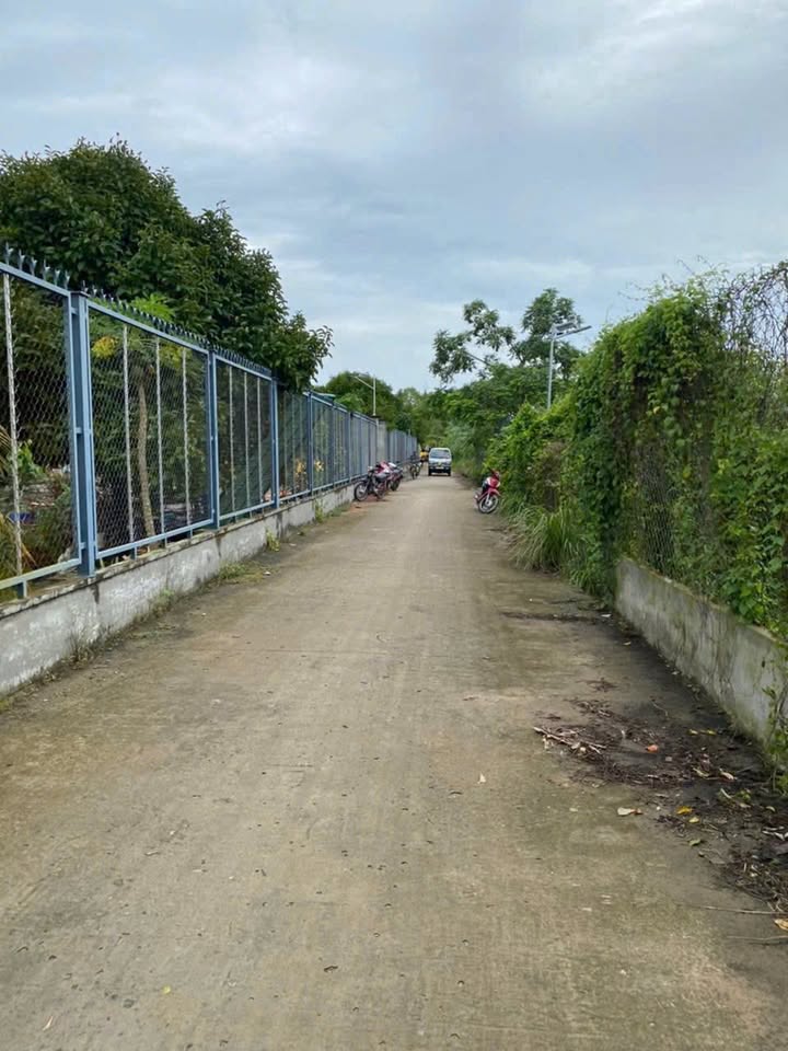 Đất nền Rạch Ngã Bát, Bình Thủy 1425m² giá 4.5 tỷ - Cơ hội đầu tư lý tưởng!