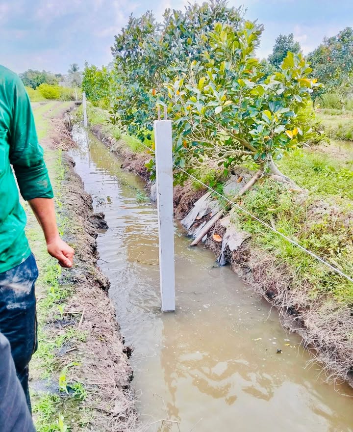 Đất nền 2000m² Quốc lộ 61C Nhơn Nghĩa - Giá chỉ 4.5 tỷ, đầu tư tiềm năng!