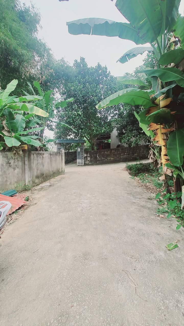 Đất nền Ngọc Xuân 750m² giá 2 tỷ - Thế đất đẹp, thích hợp làm nhà vườn!