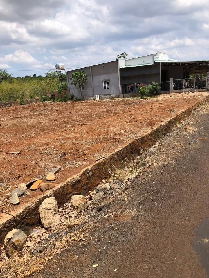 Đất nền Hòa Hưng Xuyên Mộc 824m² giá 61.8 tỷ - Sổ đỏ chính chủ!