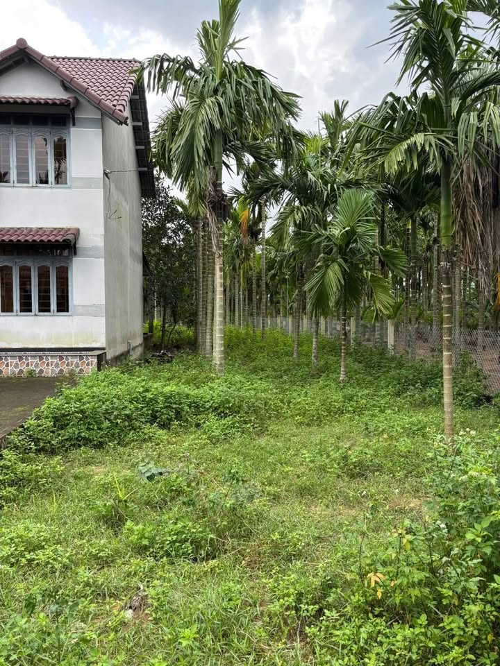 Đất nền Nghĩa Hành Quảng Ngãi 180m² giá chỉ 400 triệu - Tiềm năng đầu tư lớn!