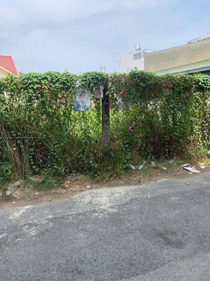 Đất nền Tân Chánh Hiệp Q12, 125m² giá 6.7 tỷ - Tiềm năng đầu tư cao!