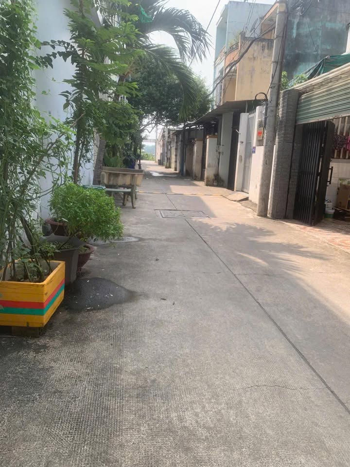 Đất nền đường Trần Thị Năm, Q12 95m² giá 5.3 tỷ - Cơ hội đầu tư tốt!