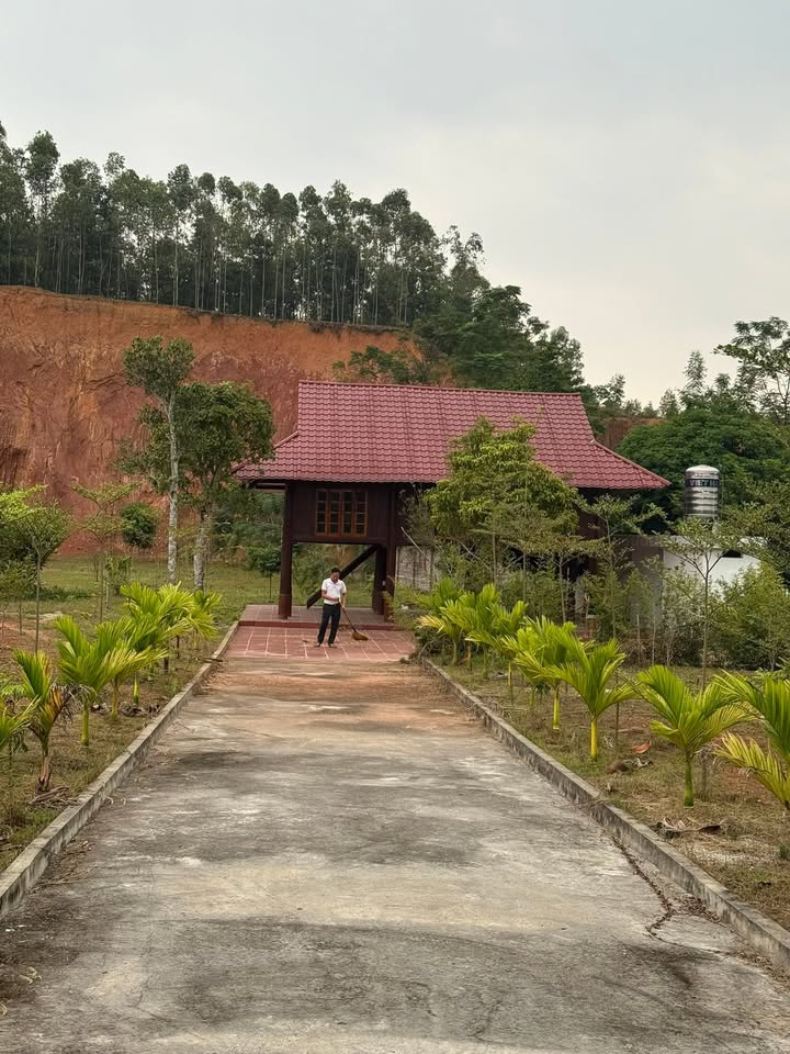 Nhà sàn nghỉ dưỡng Tân Phương 3600m² - View đẹp, giá đầu tư hấp dẫn!