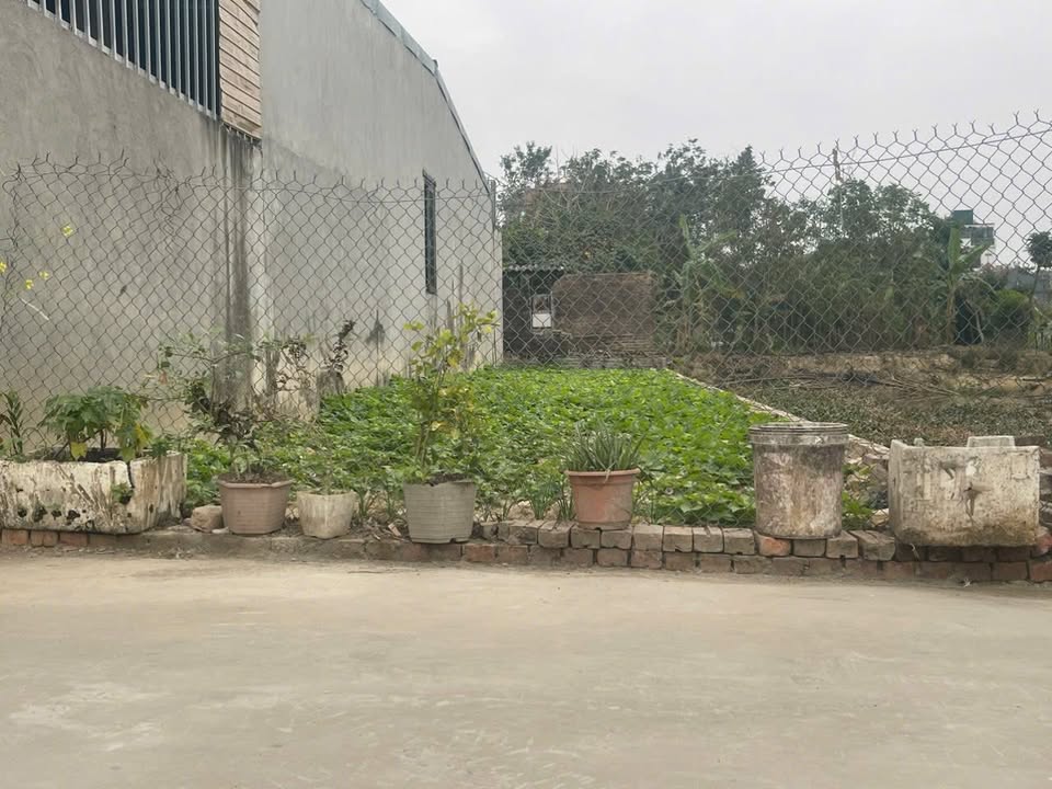 Đất nền tại Đạc Tài, Sóc Sơn 96m² - Sổ đỏ chính chủ, pháp lý rõ ràng!