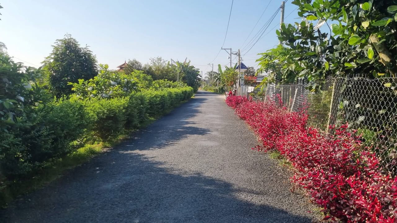 Đất nền đẹp Ấp 4 An Thái Trung 170m² giá 590 triệu - Sổ hồng chính chủ sẵn sang tên!