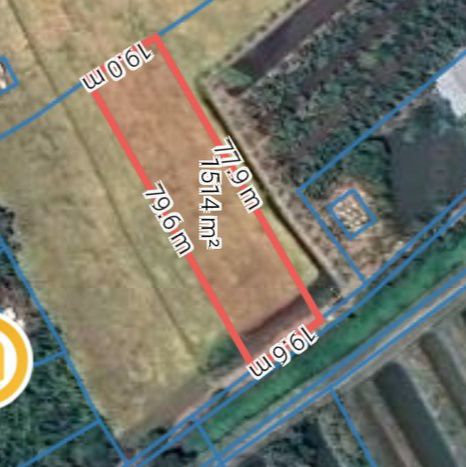 Đất nền 1500m² Mỹ Hạnh Đông - Giá chỉ 600 triệu, cơ hội đầu tư hấp dẫn!